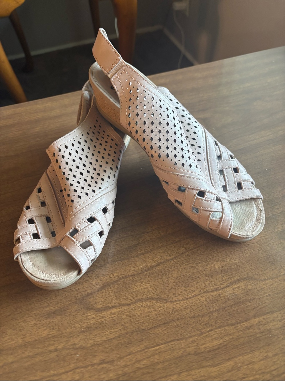 Earth brand "Pisa Galli" wedge sandals